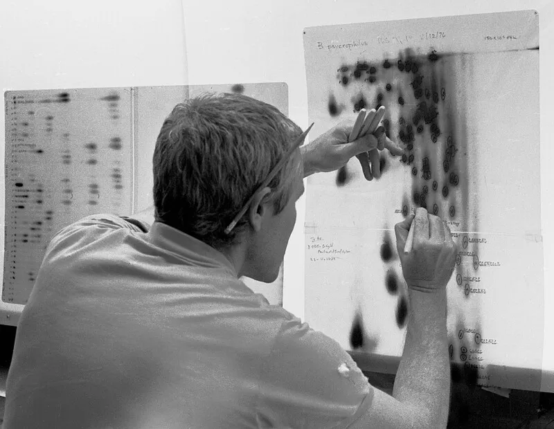 Carl Woese examining spots on an x-ray film at an illuminated light board.