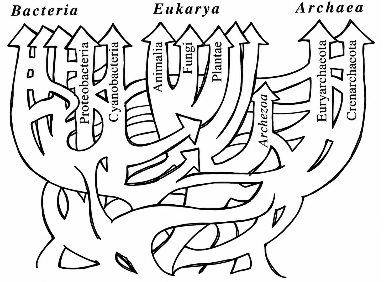Ford Doolittle’s reticulated tree of life, with interconnected branches linking Bacteria, Eukarya, and Archaea.