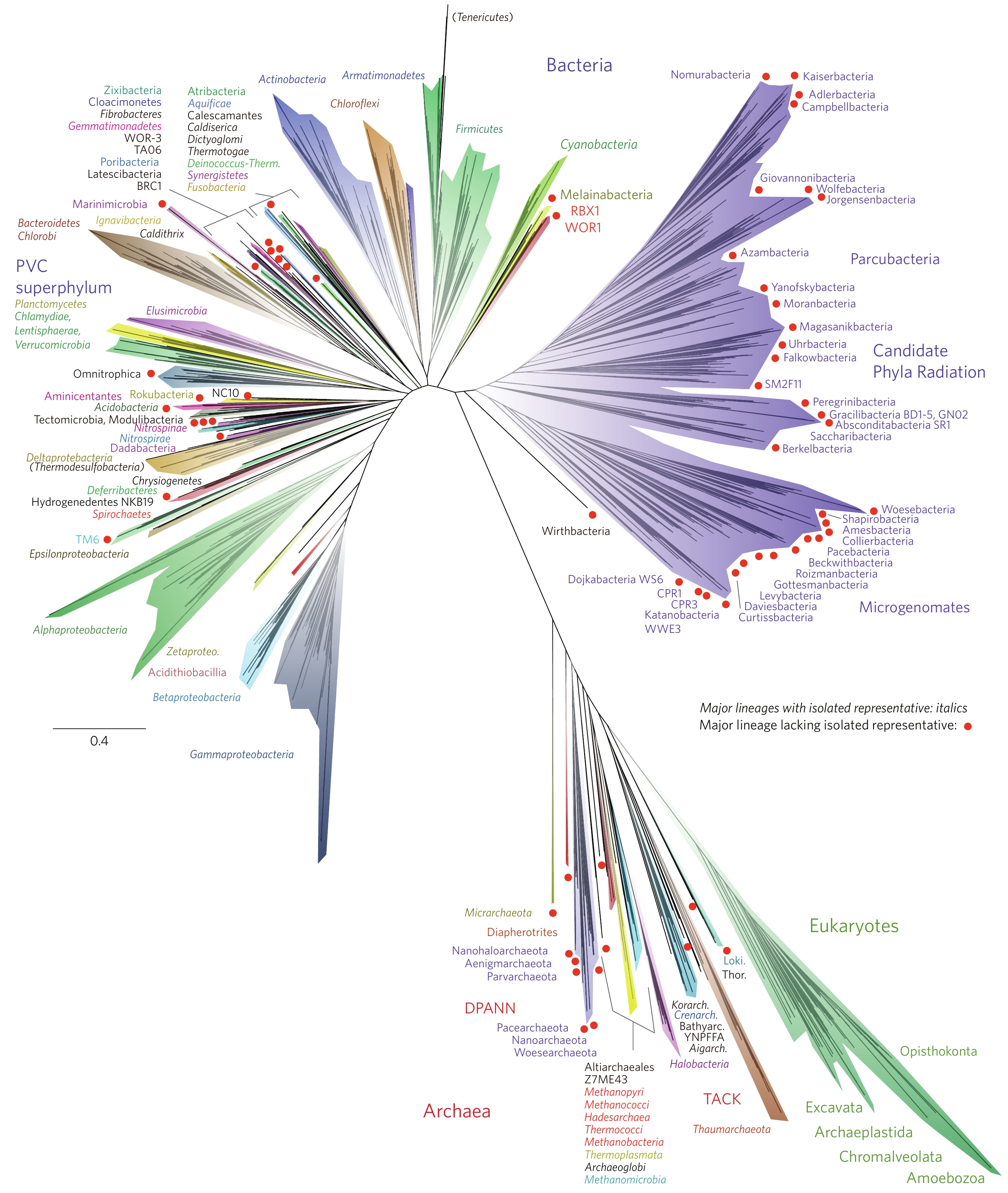 Genome-based tree of life showing the diversity of bacterial, archaeal, and eukaryotic lineages, with red dots marking lineages lacking isolated representatives.