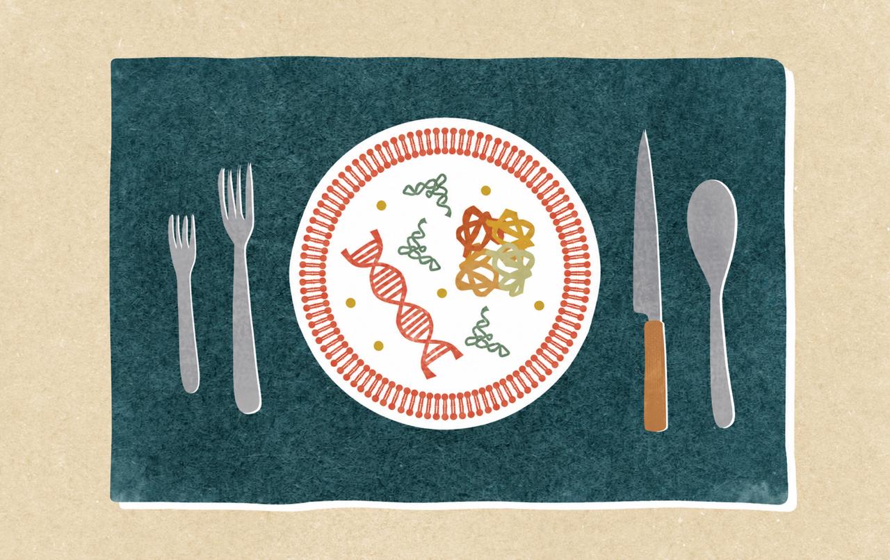 A cell served on a plate, surrounded by cutlery
